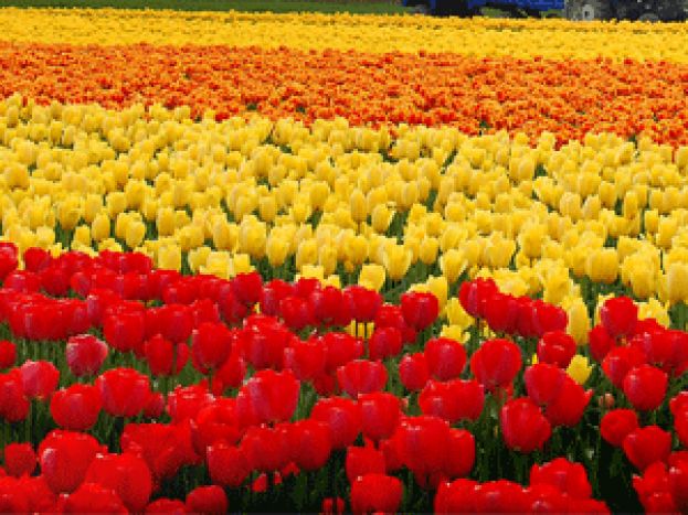 Foreign investments by Turks Reach $25 Billion in 10 Years