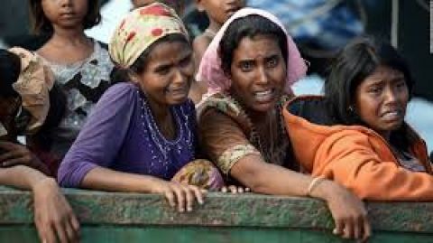 President Trump, Heed the Plight of the Rohingya