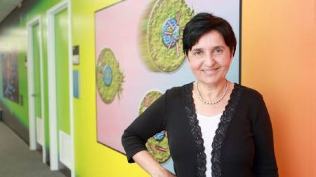 Honoring Dr. Banu Onaral: A Lifelong Champion of Knowledge and Progress